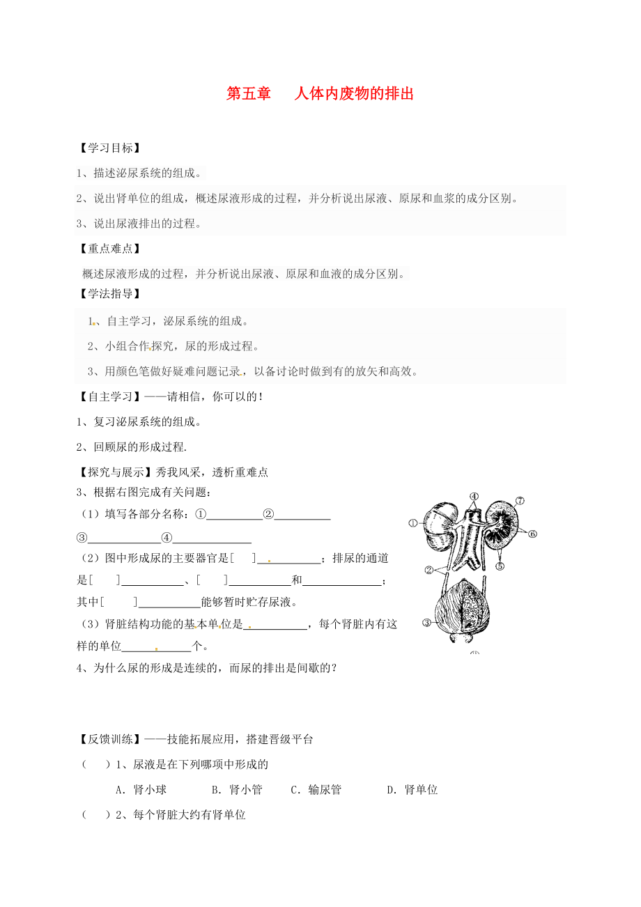 陜西省寶雞市七年級生物下冊 4.5 人體內(nèi)廢物的排出學(xué)案2無答案新版新人教版_第1頁