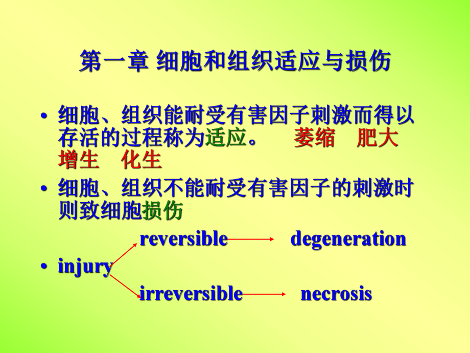 病理學(xué)教學(xué)課件：第一章 細(xì)胞和組織適應(yīng)與損傷_第1頁