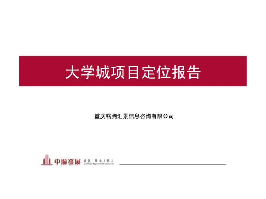重庆大学城项目定位报告_第1页
