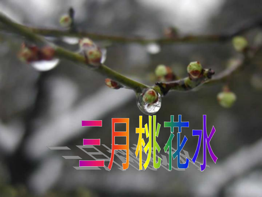 三年級語文下冊 第一單元《3 三月桃花水》課件2_第1頁