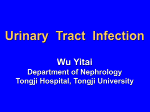 Urinary Tract Infection(尿路感染全英文)图文