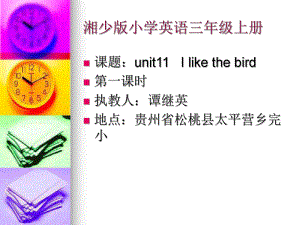 湘少版英三上Unit 11 I like the birdppt課件1