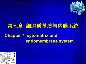 细胞生物学：第06章 细胞质基质与内膜系统