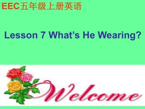 教科版五上Lesson 7 What’s He Wearingppt課件