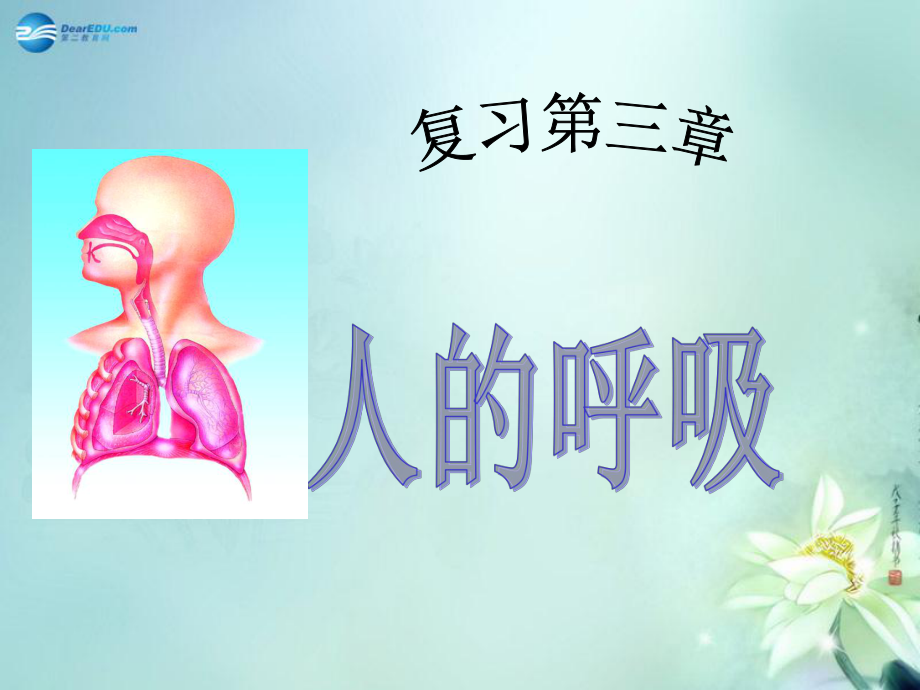 山東省臨沂市蒙陰縣第四中學(xué)七年級(jí)生物下冊(cè) 第四單元 第三章 人的呼吸復(fù)習(xí)課件 新版新人教版_第1頁(yè)