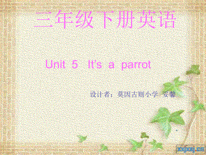 人教版精通英語(yǔ)三下Unit 5 It’s a parrotpp課件5