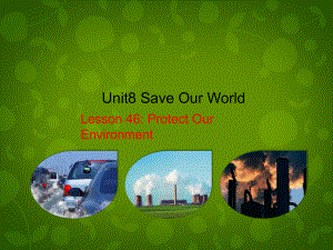 八年級英語下冊 Unit 8 Save Our World lesson 46 Protect Our Environment課件 新版冀教版