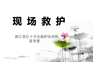 事故現(xiàn)場救護【PT課件】