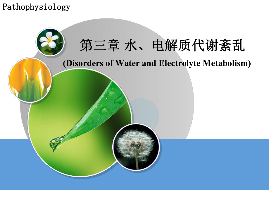 病理生理學(xué)：第三章 水、電解質(zhì)代謝紊亂_第1頁