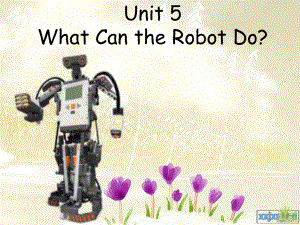 廣州版五上UNIT 5 What Can te Robot Doppt課件