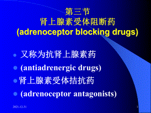 三节肾上腺素受断药adrenoceptorblockingdrugs