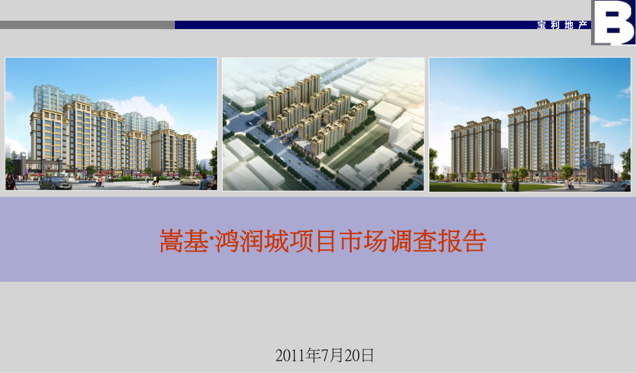 嵩基·鸿润城项目市场调查报告_第1页