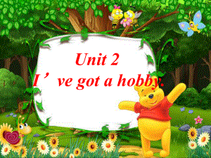 外研版(三起)六上Unit2 I’ve got a hobppt課件1