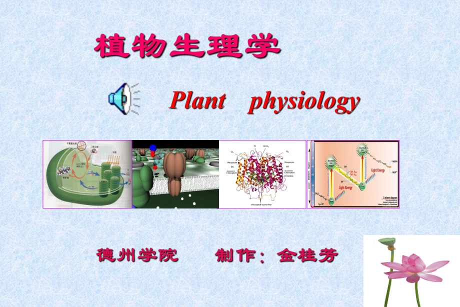 植物生理学素_第1页