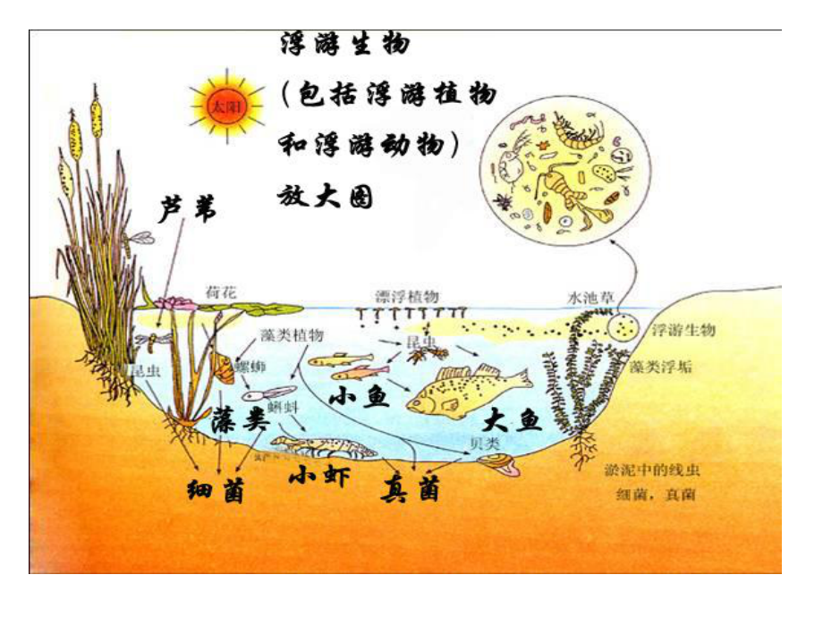 农场群落结构图图片