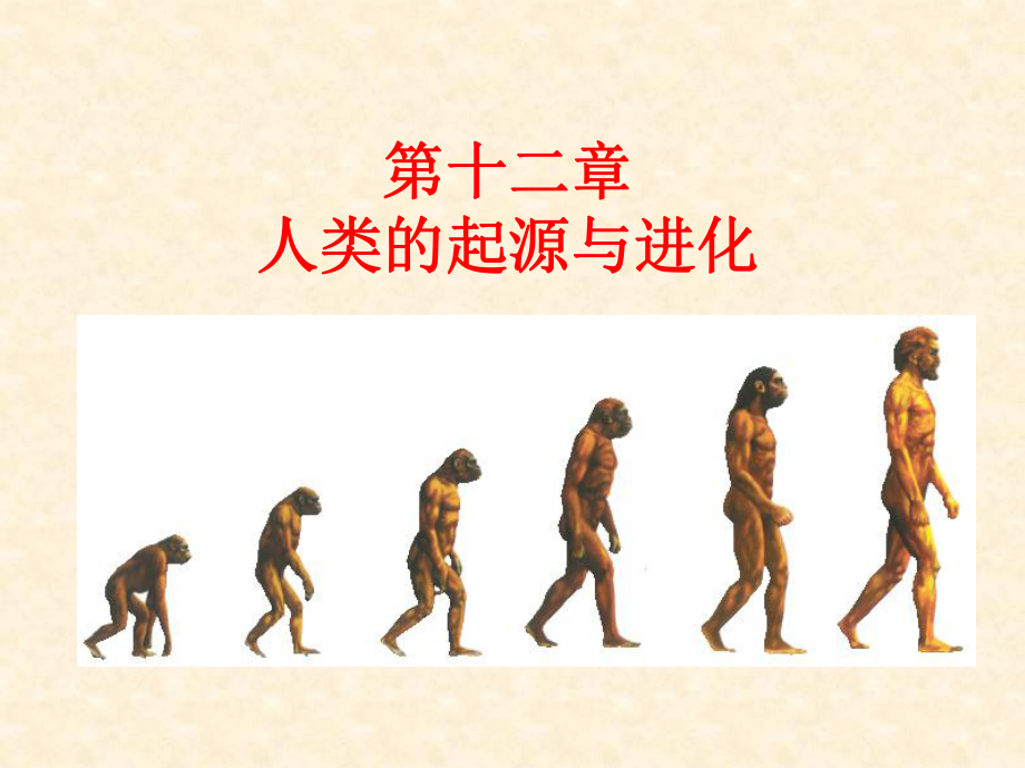 進化生物學：第十二章人類的起源與進化_第1頁