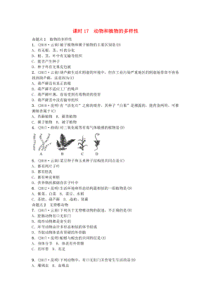云南專版中考生物 教材考點梳理 第17課時 動物和植物的多樣性