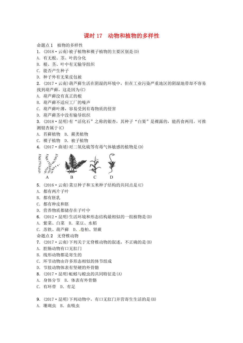 云南專版中考生物 教材考點梳理 第17課時 動物和植物的多樣性_第1頁