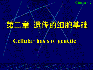 医学遗传学：第二章 遗传的细胞基础