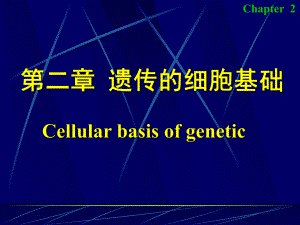 醫(yī)學(xué)遺傳學(xué)：第二章 遺傳的細(xì)胞基礎(chǔ)