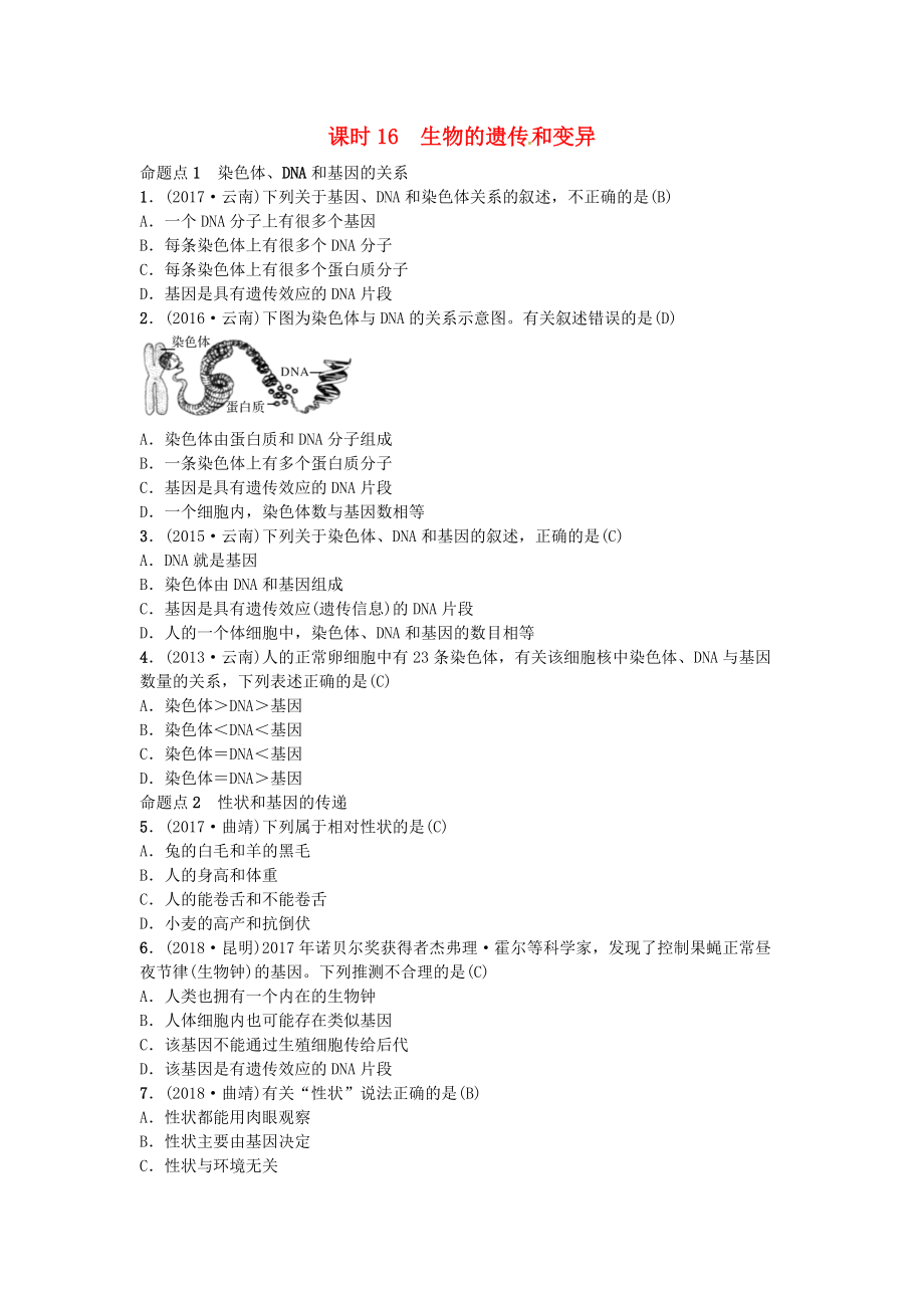 云南專版中考生物 教材考點梳理 第16課時 生物的遺傳和變異_第1頁