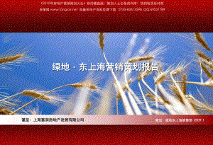 绿地上海绿地东上海项目营销策划报告89PPT
