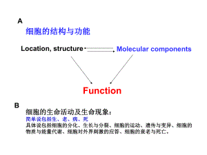 医学细胞生物学：第二篇 细胞的结构与功能
