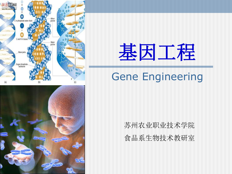 基因程1基因工程概述_第1页