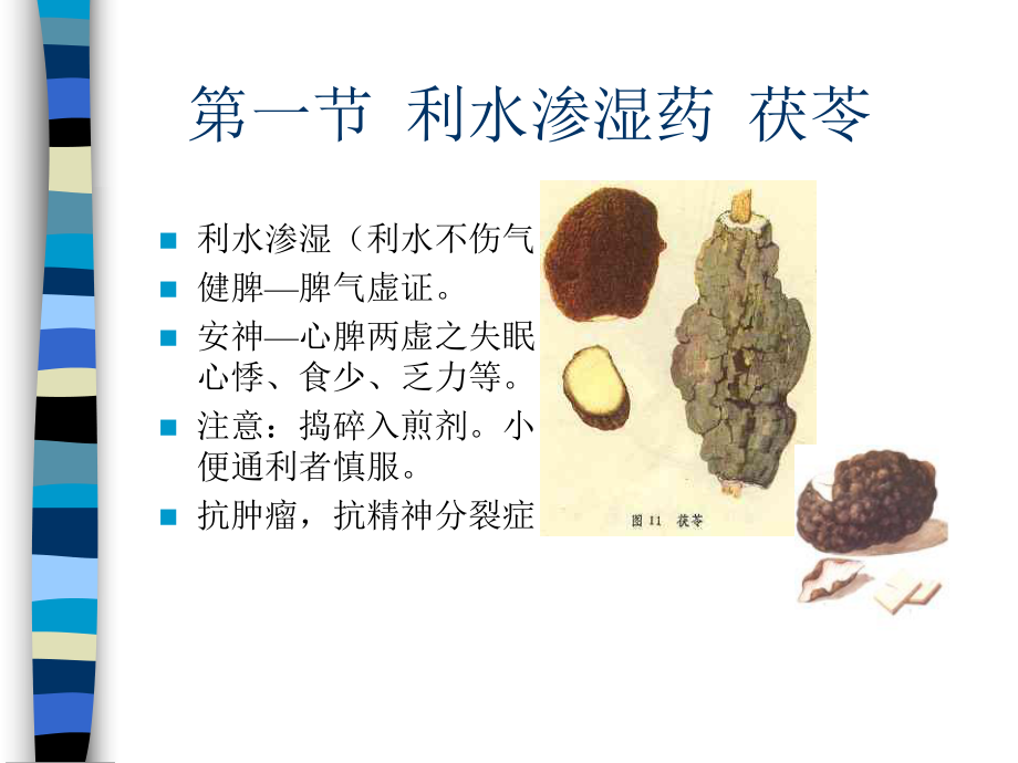 第六章利水滲溼藥