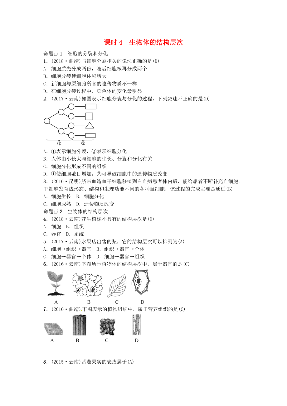 云南專版中考生物 教材考點梳理 第4課時 生物體的結(jié)構(gòu)層次_第1頁