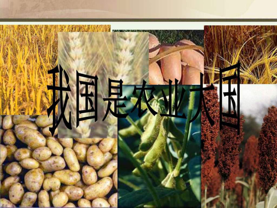 第1課 精耕細(xì)作農(nóng)業(yè)生產(chǎn)模式的形成.ppt_第1頁(yè)