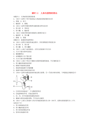 云南專版中考生物 教材考點梳理 第11課時 人體內(nèi)廢物的排出