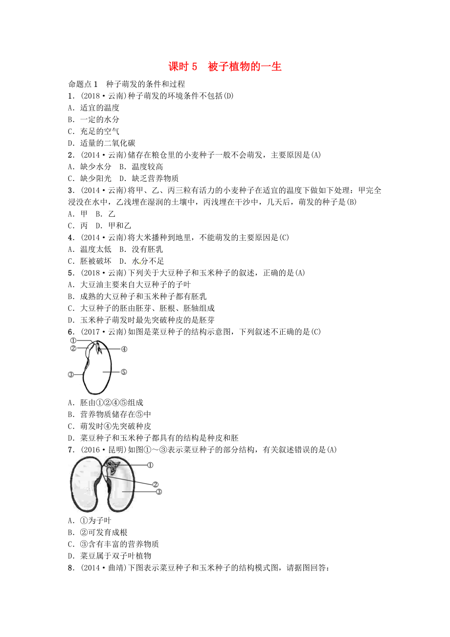 云南專版中考生物 教材考點梳理 第5課時 被子植物的一生_第1頁