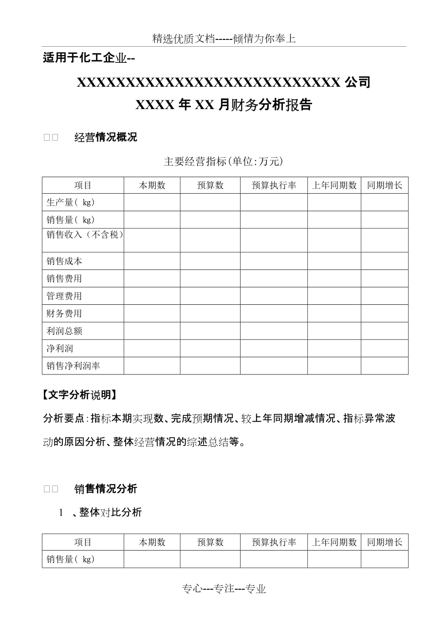 化工企业财务分析报告模板(共10页)_第1页