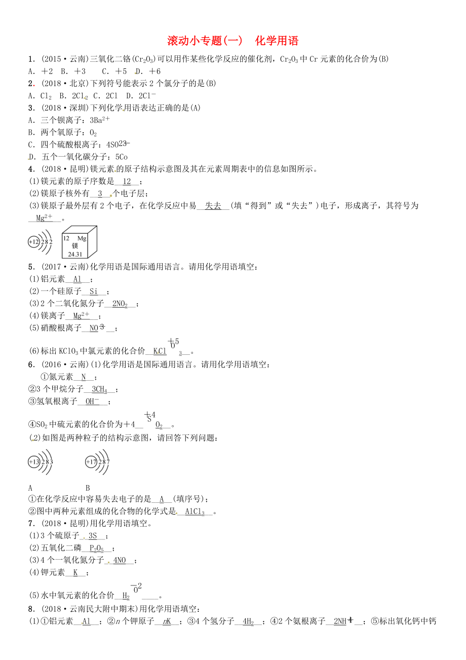 云南專版中考化學總復習 滾動小專題一化學用語習題_第1頁