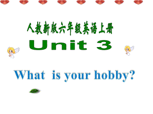 人教(新版)英語六上Unit3 What’s your hobppt課件