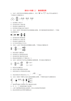 云南專版中考化學總復習 滾動小專題二微觀模型圖習題