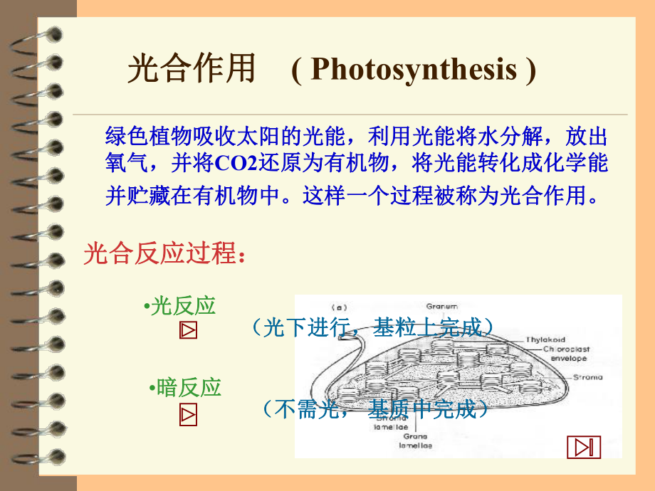 植物生呼吸作用_第1頁(yè)