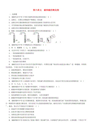 云南專版中考化學(xué)總復(fù)習(xí) 第一編 第6單元 碳和碳的氧化物精練練習(xí)