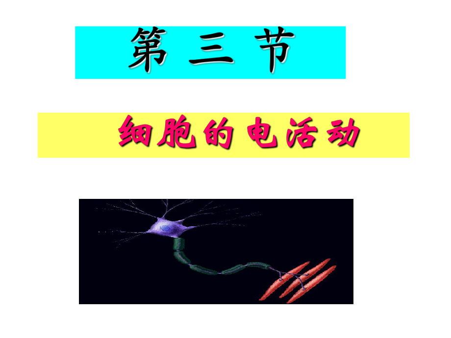 生理学：第二章 3节细胞的电活动_第1页