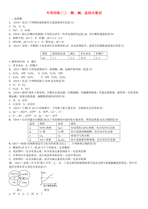 云南專版中考化學(xué)總復(fù)習(xí) 教材考點(diǎn)梳理 專項(xiàng)訓(xùn)練二酸、堿、鹽綜合集訓(xùn)習(xí)題