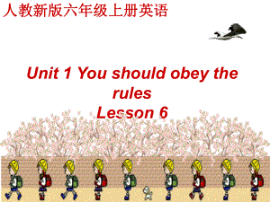 人教(新版)英語六上Unit1 You should obey the ruleslesson6ppt課件