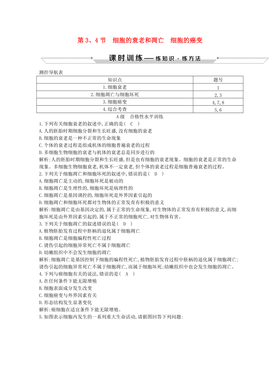 高中生物 第6章 細(xì)胞的生命歷程 第3、4節(jié) 細(xì)胞的衰老和凋亡 細(xì)胞的癌變?cè)囶} 新人教版必修1_第1頁(yè)