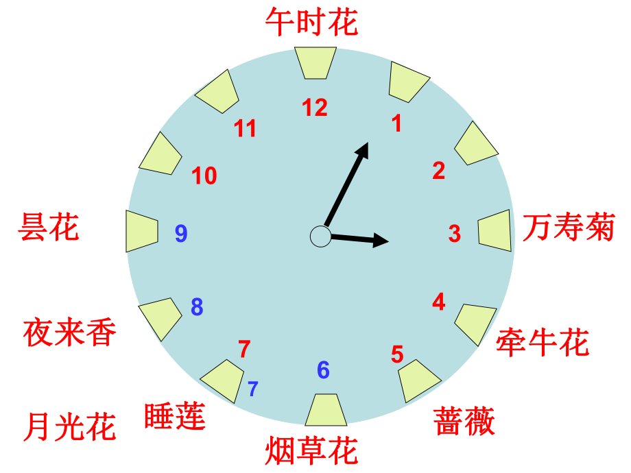 12小时花钟图片图片