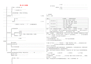 中考物理 第4章 光現(xiàn)象復(fù)習(xí)學(xué)案無答案 新人教版