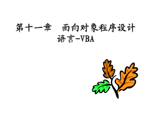 第十一章面向对象程序设计语言VBA