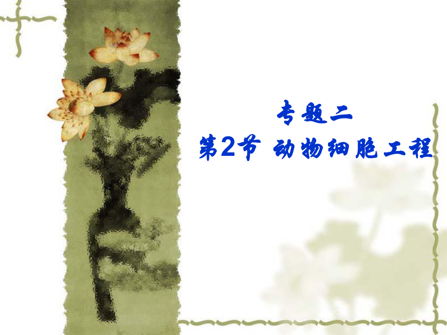 2第2节动物细胞培养和核移植技术课件_第1页