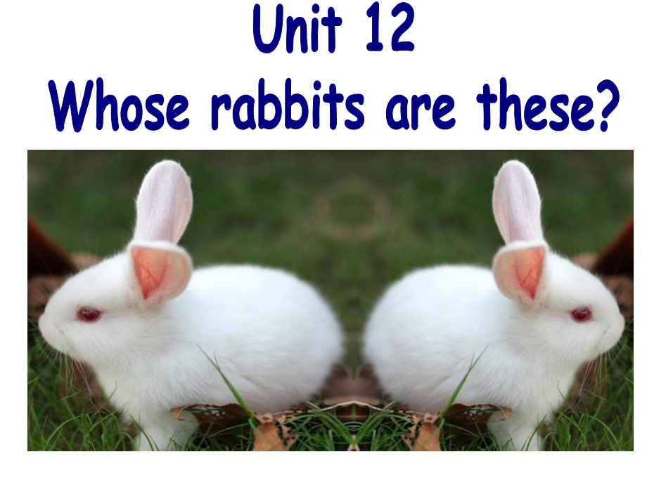 三年級下冊英語課件－Module 6 Unit 12Whose rabbits are these｜教科版廣州深圳 (共27張PPT)_第1頁