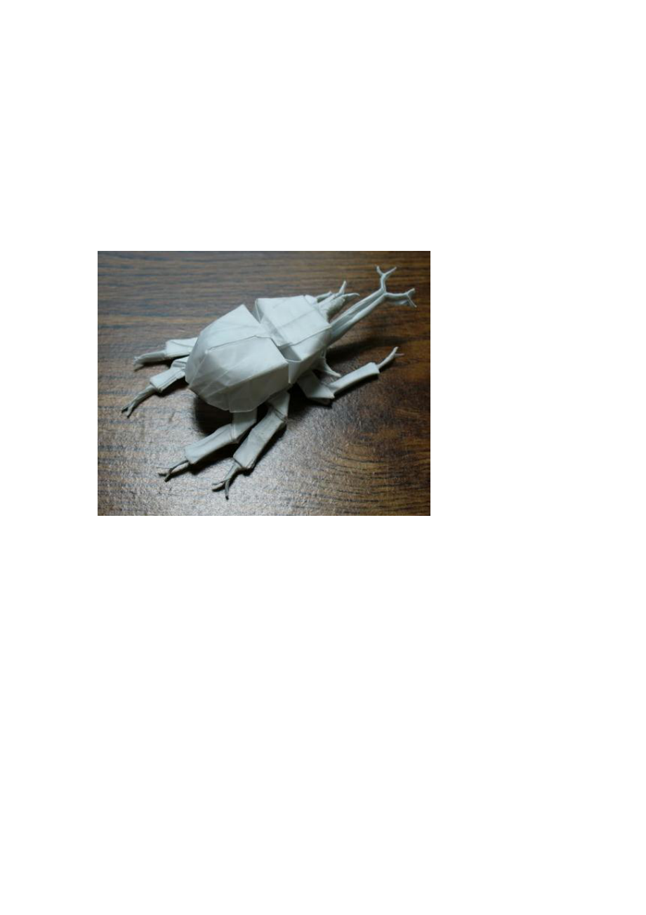 折纸姬甲虫图片