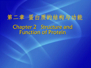 2蛋白质的基本机构和功能